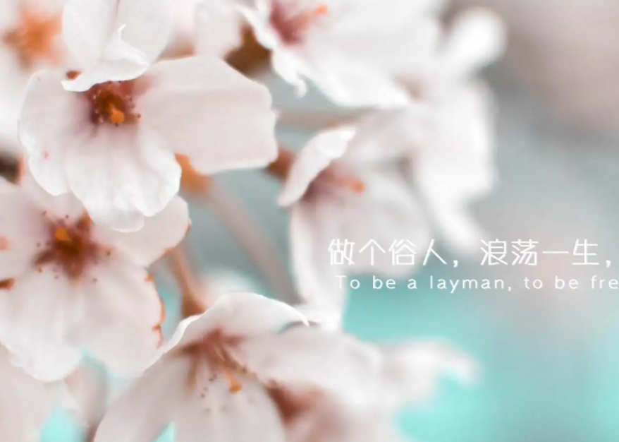 经典潮流语录 潮流句子