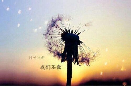 时光不老 我们不散