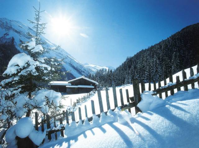 感受雪景的心情短语