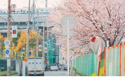 2022微信朋友圈道歉语录