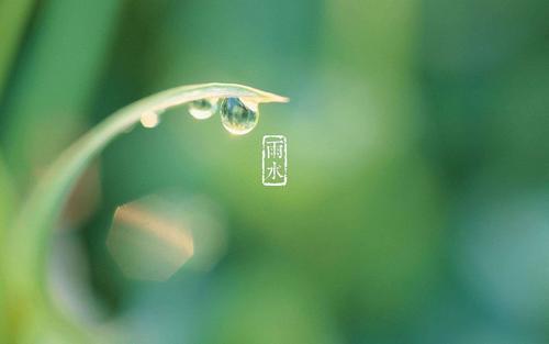 雨水节气谚语