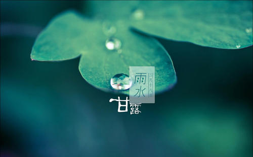 雨水节气谚语