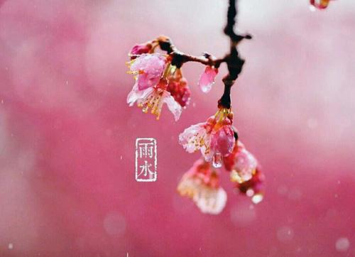 雨水节气谚语