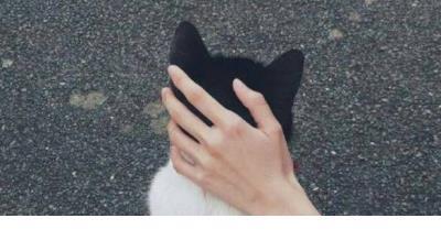 搞笑段子大全 爆笑 幽默搞笑说说大全