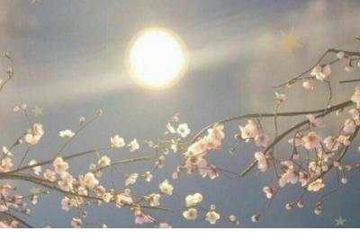 暖心幸福的爱情句子 说说爱情幸福的句子
