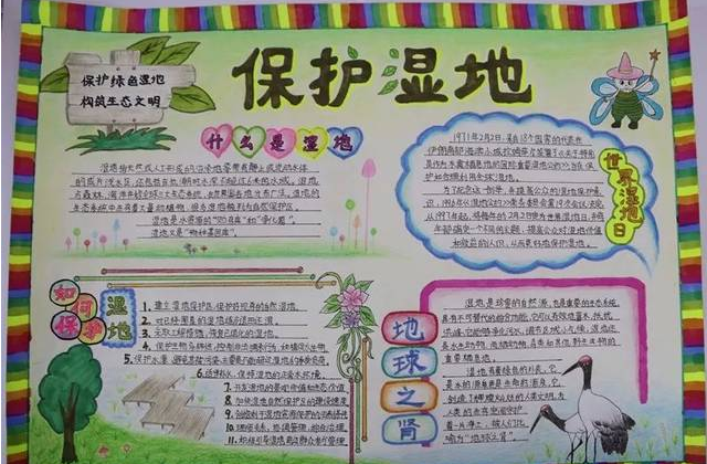 湿地日主题手抄报内容大全 湿地日的来源及意义