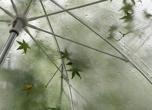 《人间失格》经典语录