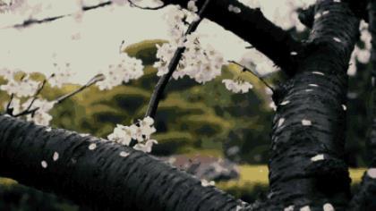 微信说说心情句子大全 闲着无聊的心情说说
