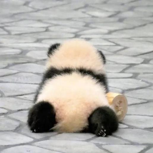 经典语录伤感人生感悟 感悟人生的经典句子唯美
