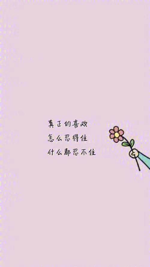 每日心灵鸡汤简短语录