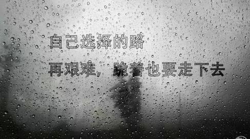 每日心灵鸡汤简短语录