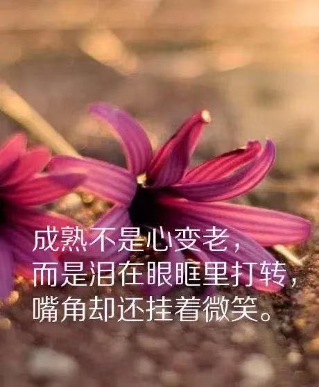 青春励志语录唯美图片