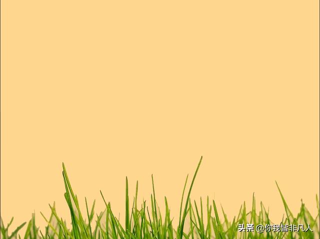 视频文字可换情感文案(情感文案视频制作)