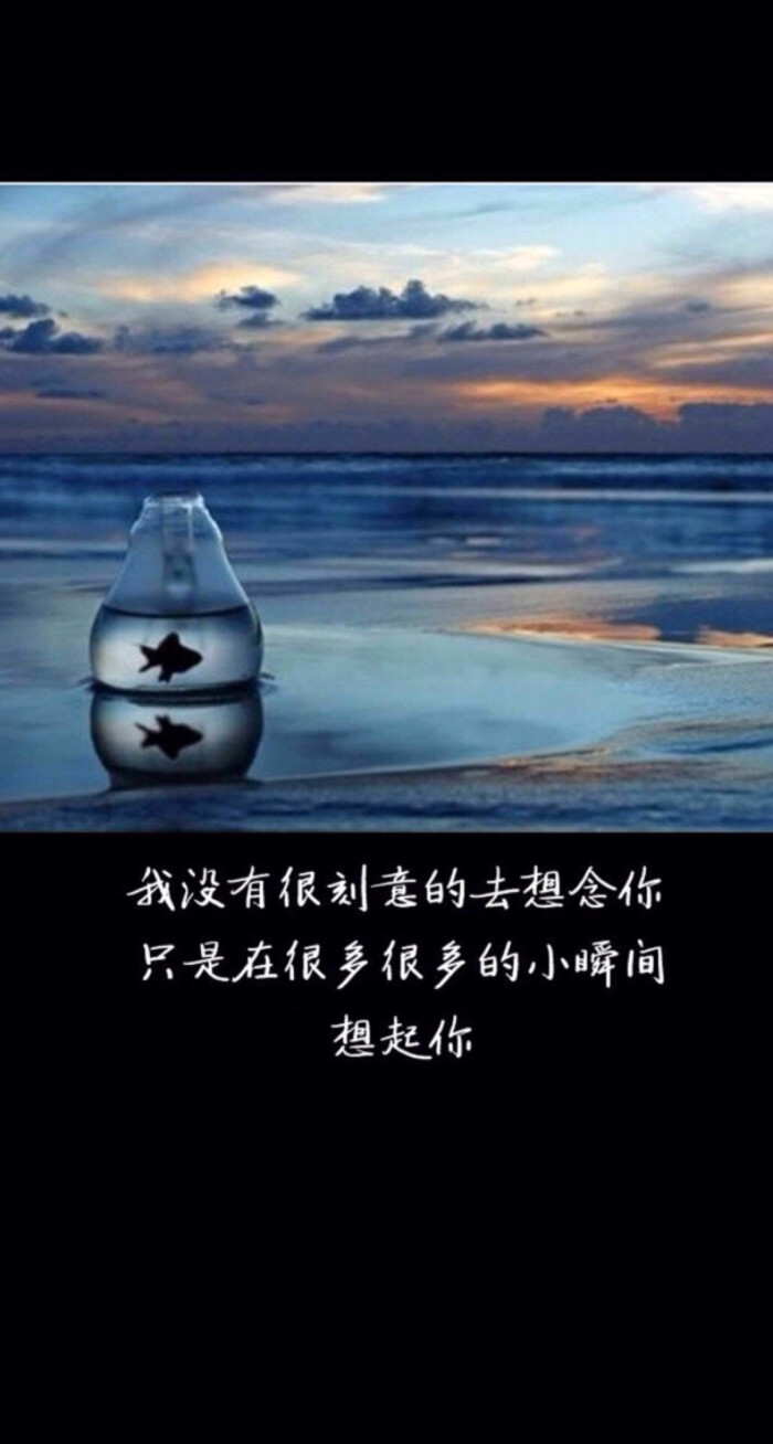 情感语录图片配图 文字