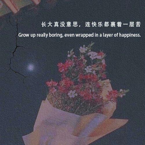 扎心文案情感