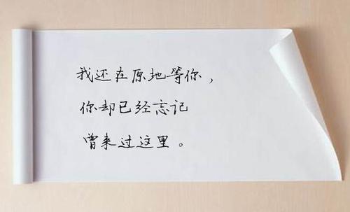 电台让人落泪的情感语录