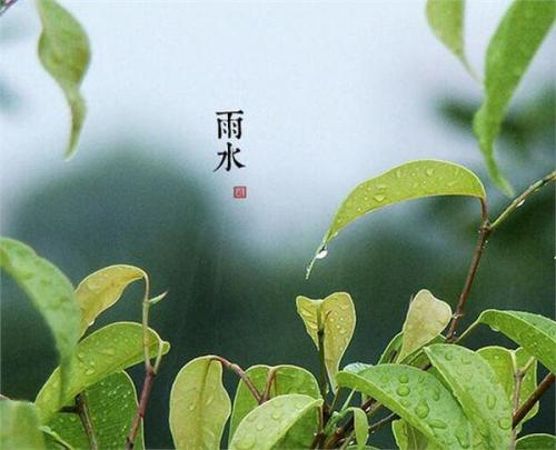 雨水节气的朋友圈说说34句