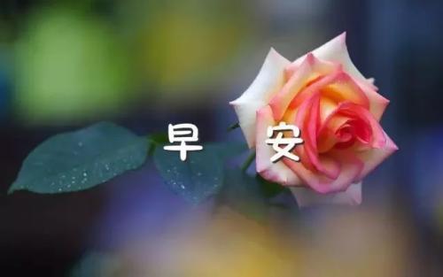 2021年早安心灵牛汤经典语录