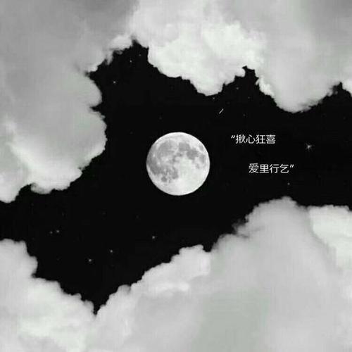 路越走越宽经典语句