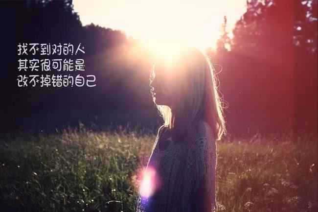 表达爱的微信数字红包