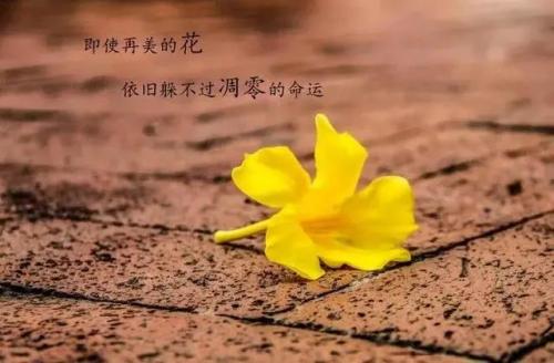 男生成熟经典语录说说14句