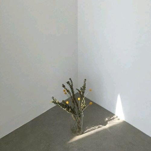 高中佳句积累感悟