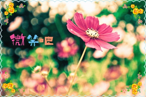 清明节上坟的说说 朋友圈上坟的心情说说24句