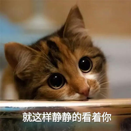 经典搞笑