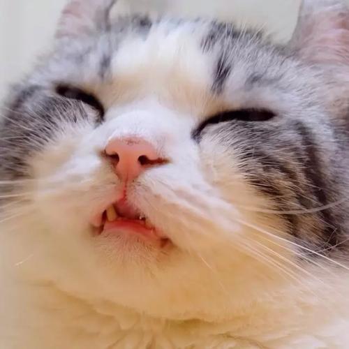 经典搞笑