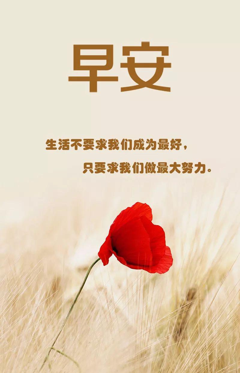 十月早安励志语录正能量