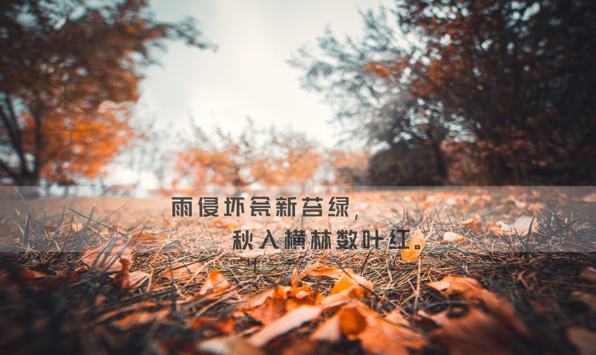 史铁生经典语录名言名句赏析