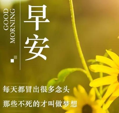 励志早安语录正能量语句