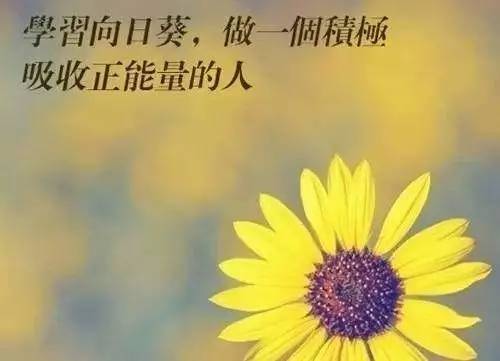 奋斗正能量励志语录英语