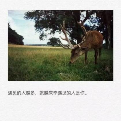富有哲理的爱情短句