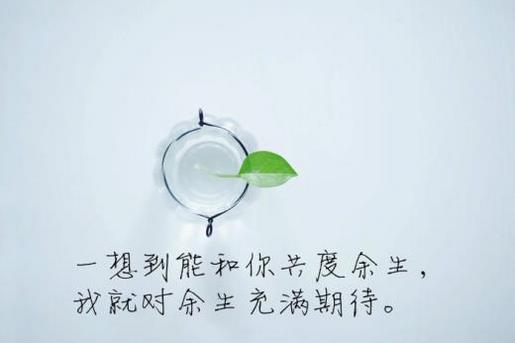 富有哲理的爱情短句