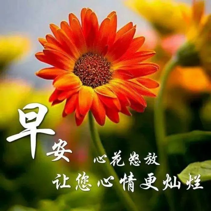 最舒服的早晨说说心情