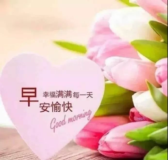 最舒服的早晨说说心情