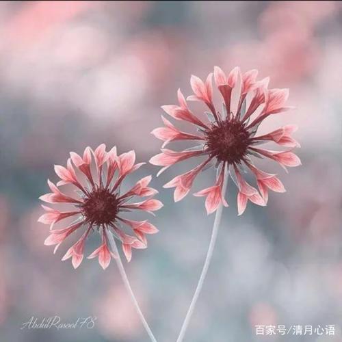 人生感悟精辟句子心情说说
