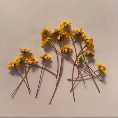 世界名人名言经典励志