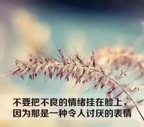 别让自己的情绪 影响自己的心情