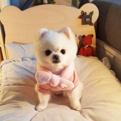 不明显的情话大全撩妹