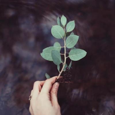 温柔治愈古风句子简短