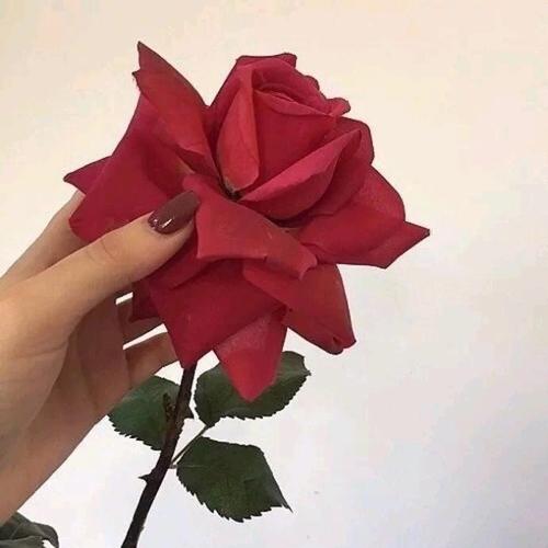 追女友的情话