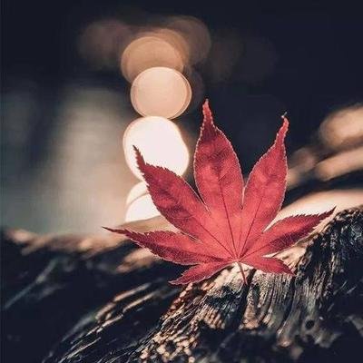 下雨心情低落说说发朋友圈短句