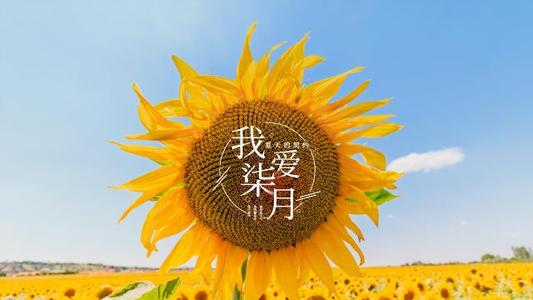 六月再见七月你好图片说说