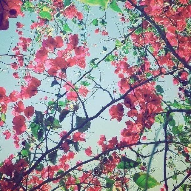 经典语录爱情美好短句