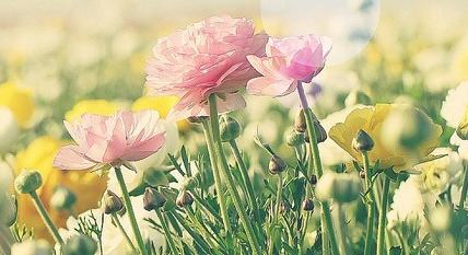 名句经典励志及感悟斤斤计较
