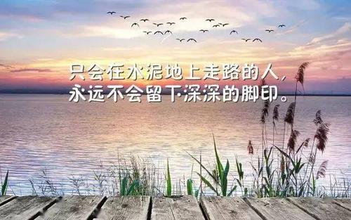 好心态正能量的句子