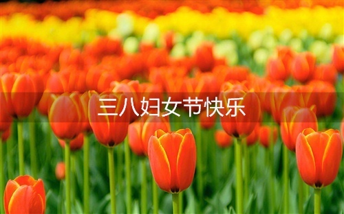 38妇女节说说怎么写 38妇女节心情说说35句