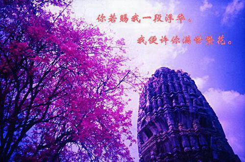 抖音高大上的个性签名 最新个性签名优雅大气